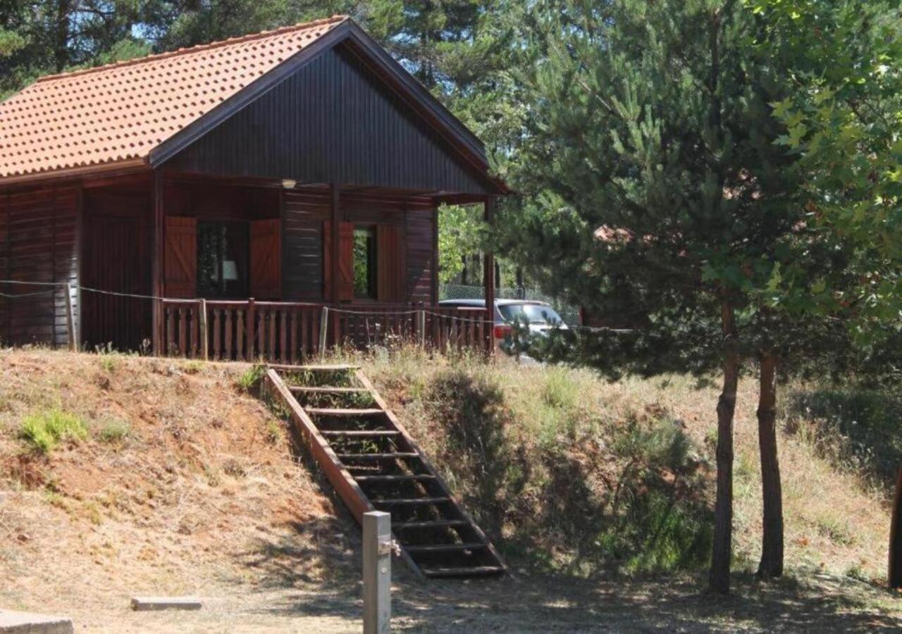 Parque Biologico De 비냐이스 외부 사진