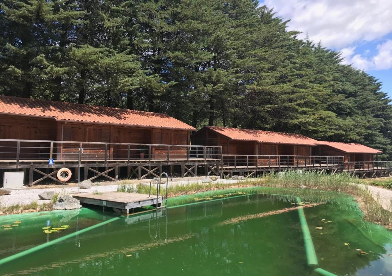 Parque Biologico De 비냐이스 외부 사진