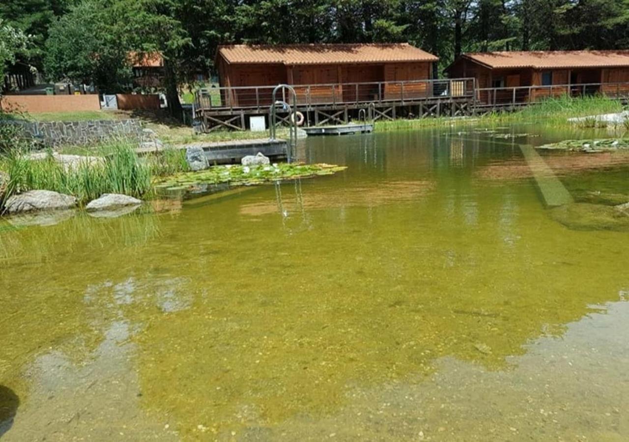 Parque Biologico De 비냐이스 외부 사진