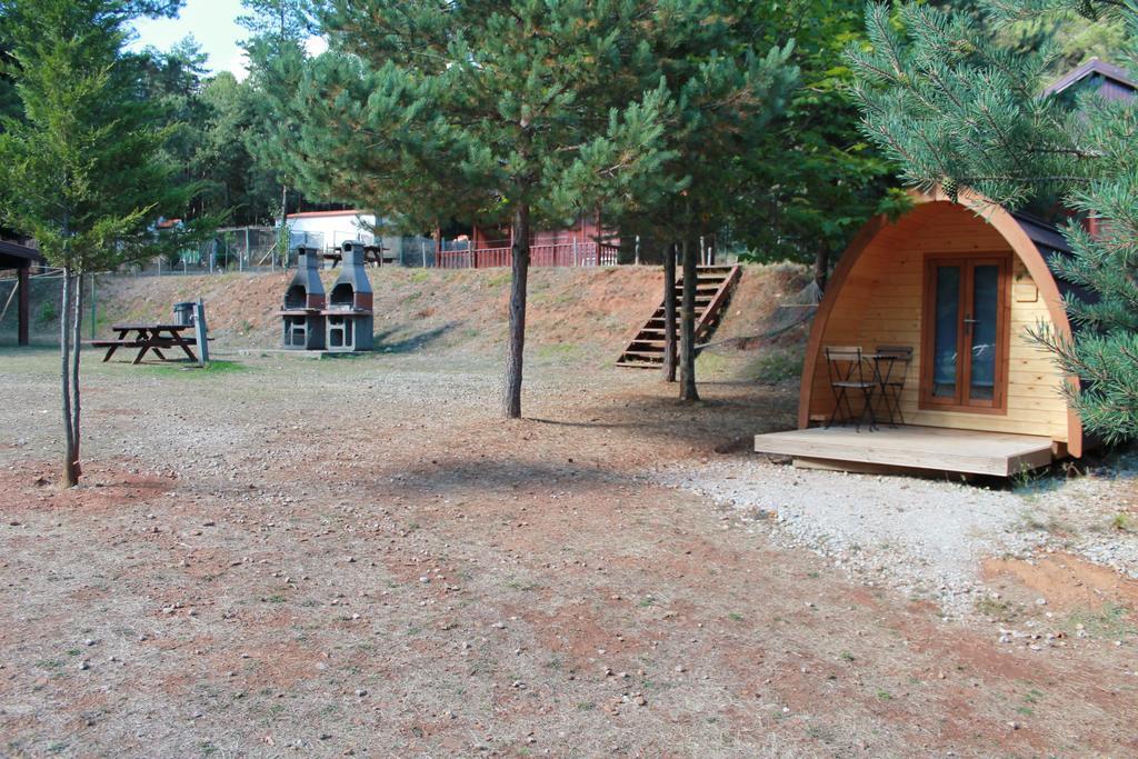 Parque Biologico De 비냐이스 외부 사진