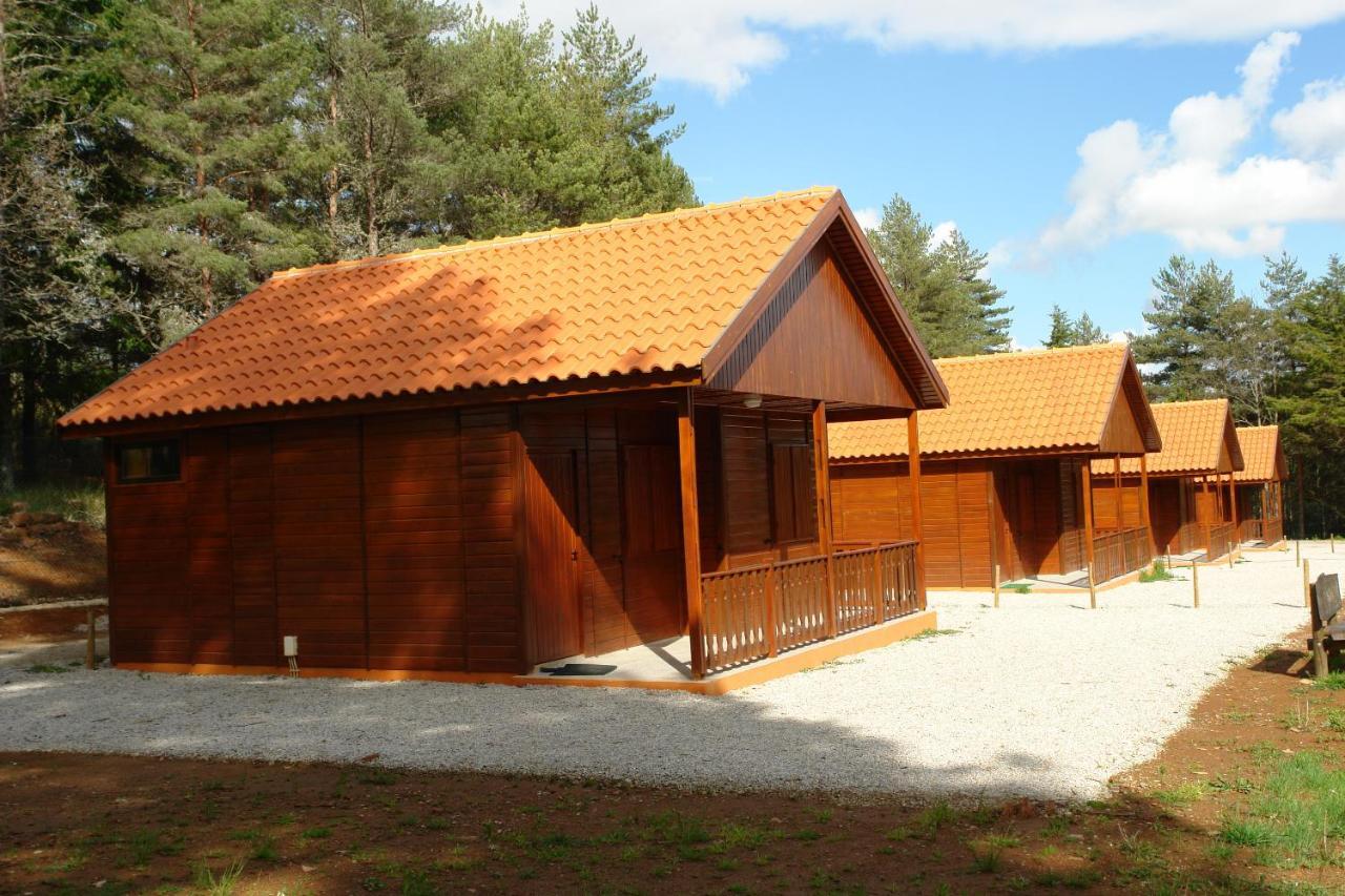 Parque Biologico De 비냐이스 외부 사진